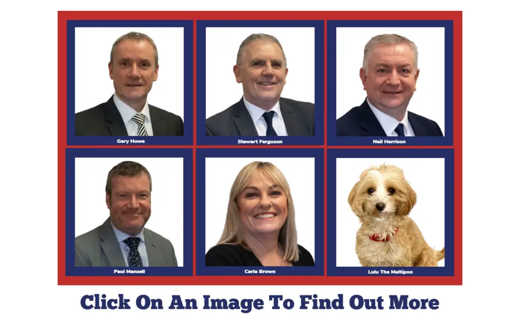 Meet The Team